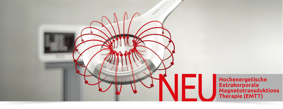 Naturheilpraxis Schoellhammer Pforzheim